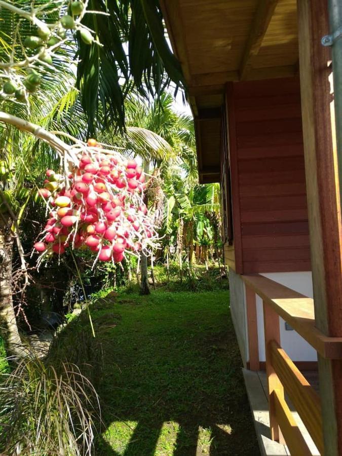 Un Cosy Sous Le Vent Gourbeyre Exterior foto