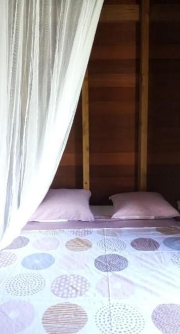 Un Cosy Sous Le Vent Gourbeyre Exterior foto