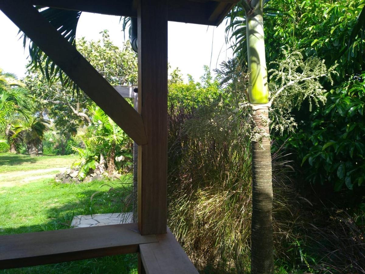 Un Cosy Sous Le Vent Gourbeyre Exterior foto